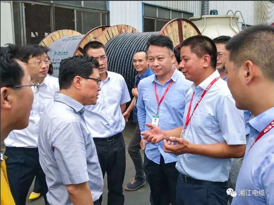 湖南省副省長陳文浩一行蒞臨湘江電纜考察指導工作