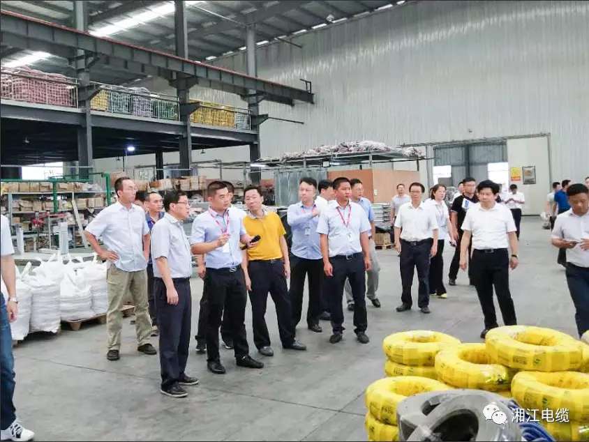 湖南省副省長陳文浩一行蒞臨湘江電纜考察指導工作