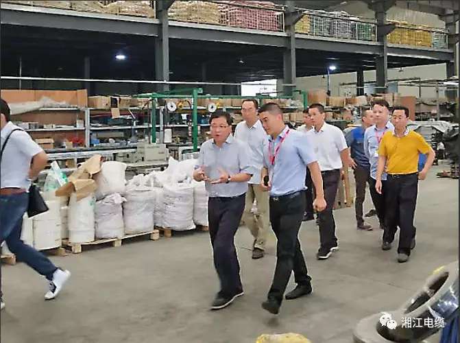 湖南省副省長陳文浩一行蒞臨湘江電纜考察指導工作